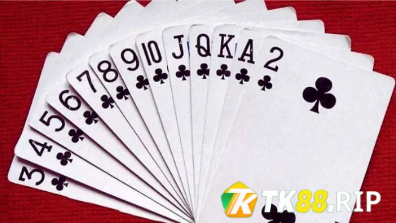 Trải Nghiệm Game Mậu Binh Đầy Thú Vị Tại TK88